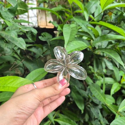 COFFEE KOREAN FLOWER CLAW