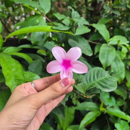 PINK KOREAN FLOWER CLAW