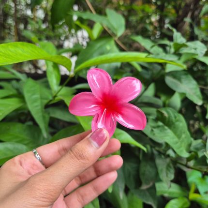 PINKISH KOREAN FLOWER CLAW