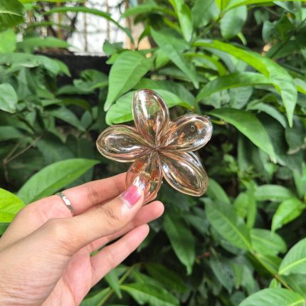 BROWN KOREAN FLOWER CLAW