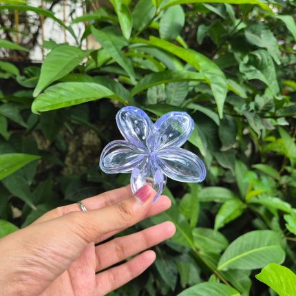 WHITE KOREAN FLOWER CLAW