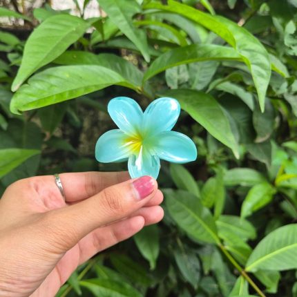 GARDENIA KOREAN FLOWER CLAW